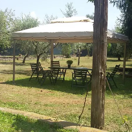 Piccola Volpe