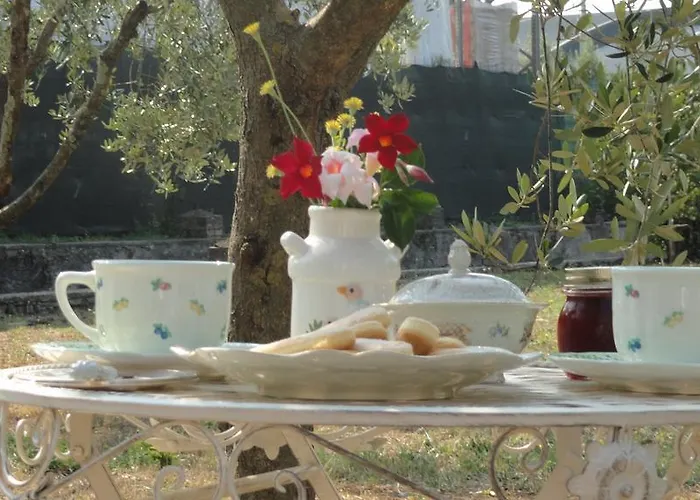 Piccola Volpe Bed and Breakfast Velletri